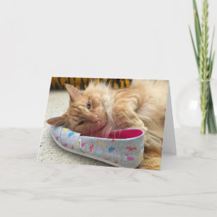 Kitten Grußkarte Nr. 3 Karte