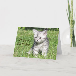 Kitten Happy Birthday Grußkarte Karte