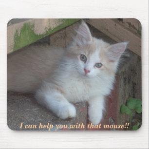 KITTEN: Ich kann dir mit der Maus helfen!! Mousepad