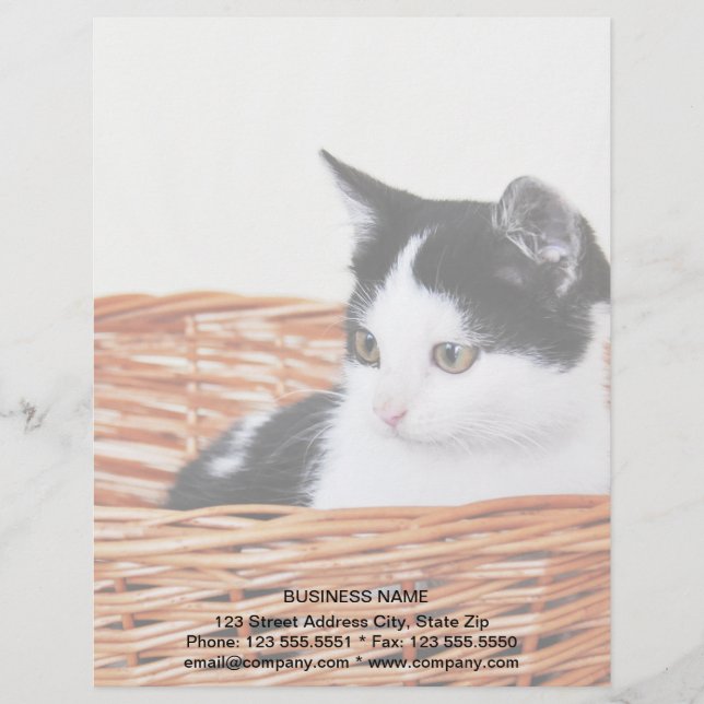 Kitten im Korb Briefkopf (Vorderseite)