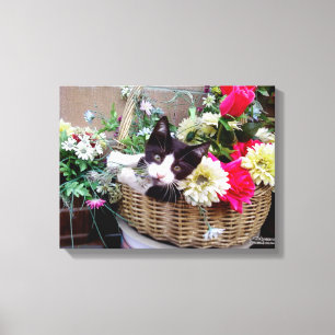 Kitten in a Basket Leinwanddruck