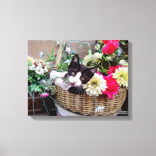 Kitten in a Basket Leinwanddruck (Vorderseite)