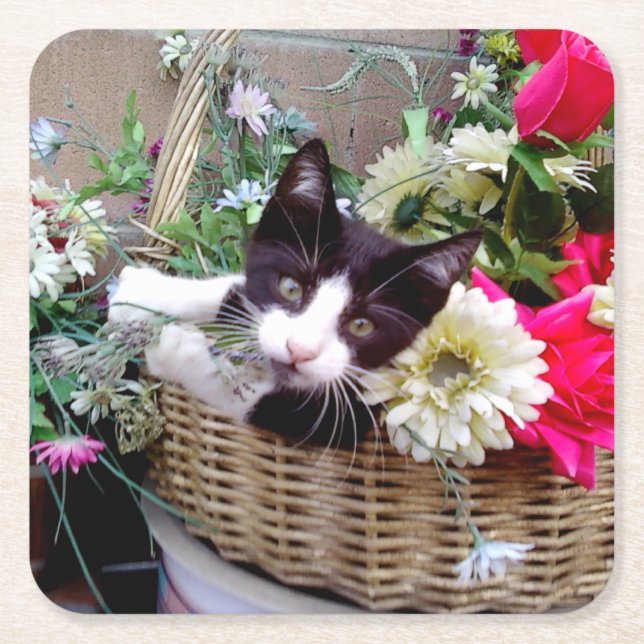 Kitten in a Basket Rechteckiger Pappuntersetzer (Vorderseite)