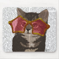 Kitten in der Star-Sonnenbrille