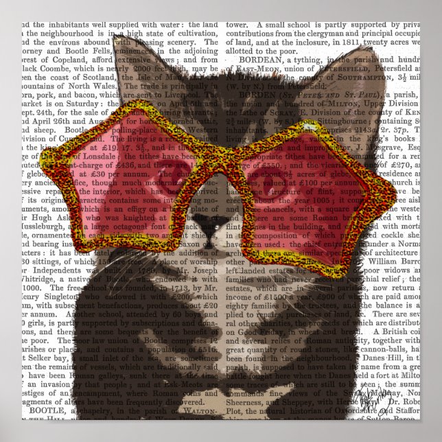 Kitten in der Star-Sonnenbrille Poster (Vorne)