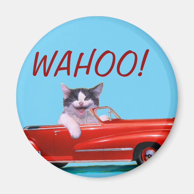 Kitten in einem roten Cabrio Magnet (Vorne)
