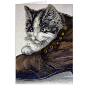 Kitten in einem Schuhwerk