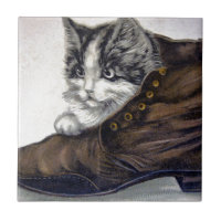Kitten in einem Schuhwerk
