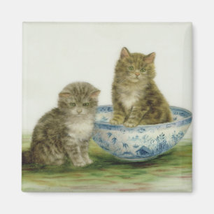 Kitten in einer Blue China Bowl Magnet