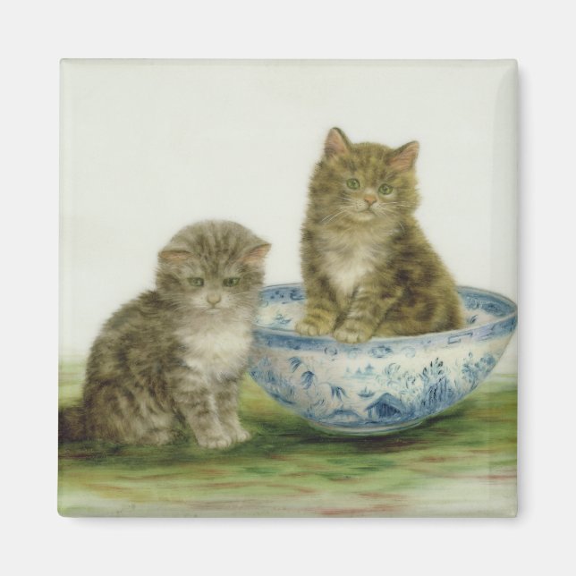 Kitten in einer Blue China Bowl Magnet (Vorne)
