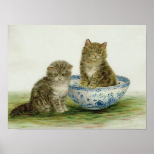Kitten in einer Blue China Bowl Poster (Vorne)
