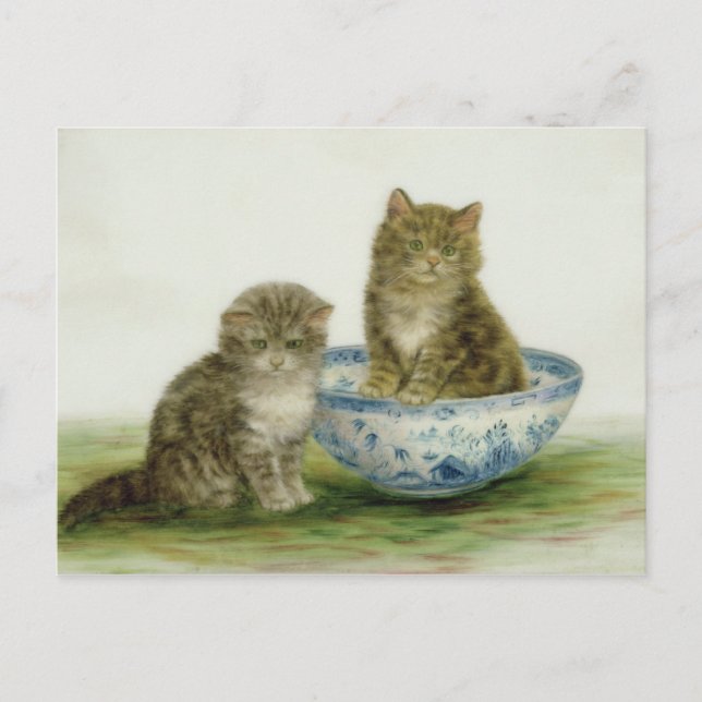 Kitten in einer Blue China Bowl Postkarte (Vorderseite)