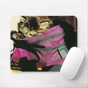 Kitten in einer Burgunder-Portion schlafen Mousepad