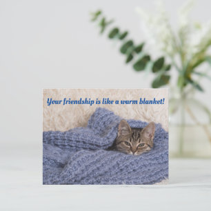 Kitten in einer Deckenkarte Postkarte