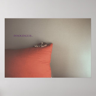 Kitten in Frieden Poster