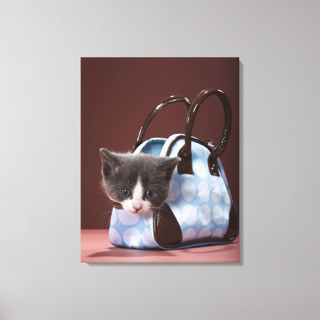 Kitten in Handtasche Leinwanddruck (Vorderseite)