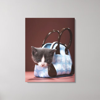 Kitten in Handtasche Leinwanddruck