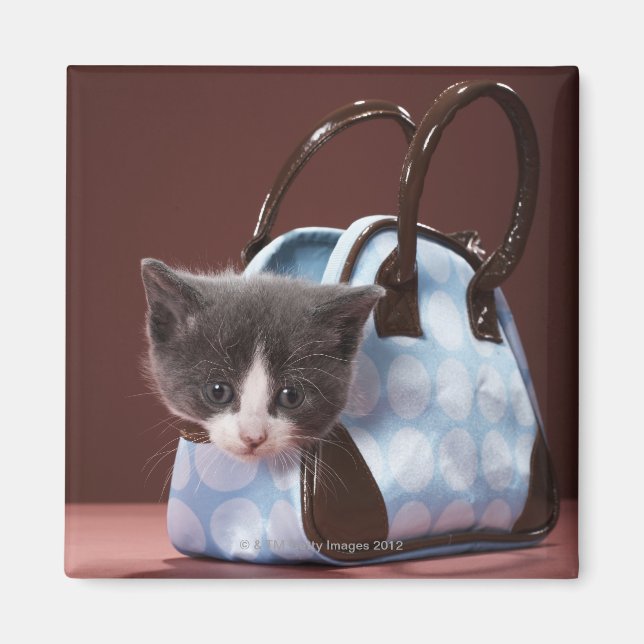 Kitten in Handtasche Magnet (Vorne)