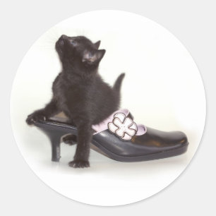 Kitten in Schuhaufkleber Runder Aufkleber