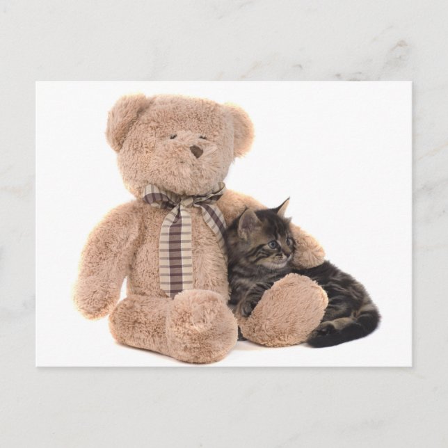 Kitten in the arms of a teddy bear postkarte (Vorderseite)