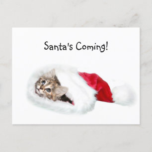 Kitten in Weihnachtsmannmütze Feiertagspostkarte