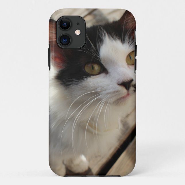 Kitten iPhone Case (Rückseite)