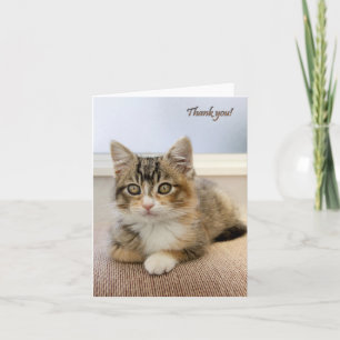 Kitten Karte