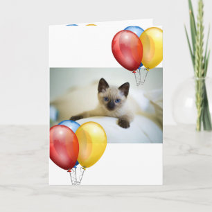 Kitten Karte