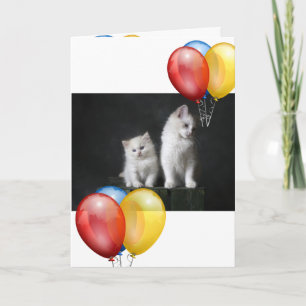 Kitten Karte