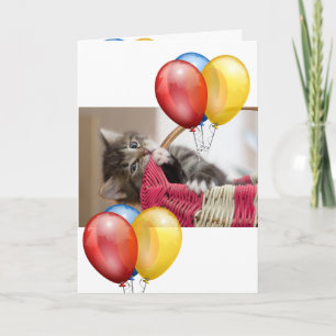 Kitten Karte