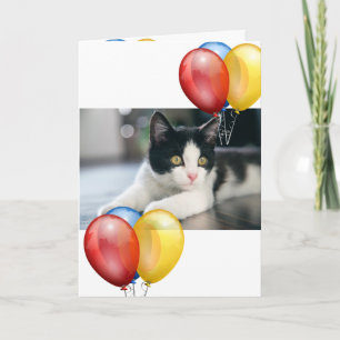 Kitten Karte