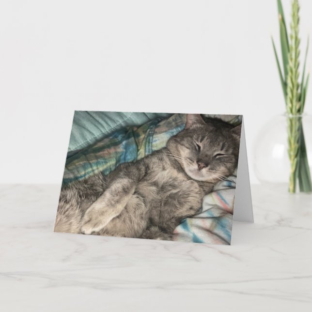 Kitten Karte (Vorderseite)