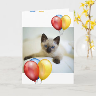 Kitten Karte