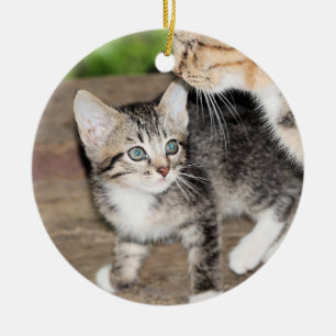 Kitten Keramik Ornament