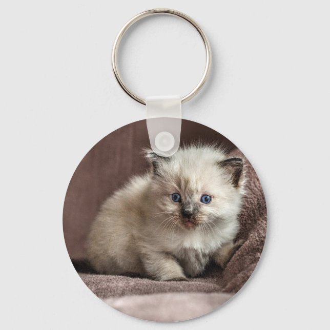 Kitten Keyring Schlüsselanhänger (Vorderseite)