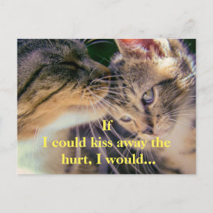 Kitten Kiss Get Well Postkarte
