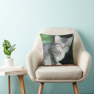 Kitten Kissen
