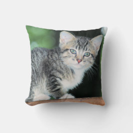 Kitten Kissen