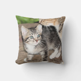 Kitten Kissen