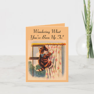 Kitten Klettervorhang Grußkarte Karte