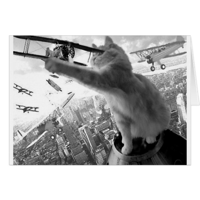 Kitten Kong (Vorderseite (Horizontal))