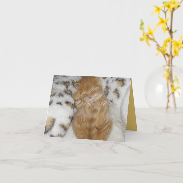 Kitten Liebe Karte (Gelbe Blume)