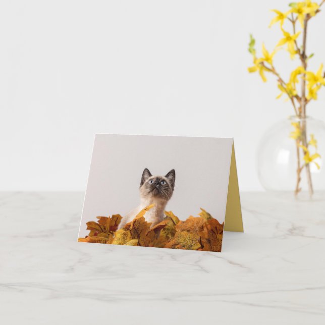 Kitten Liebe Karte (Gelbe Blume)