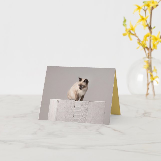 Kitten Liebe Karte (Gelbe Blume)