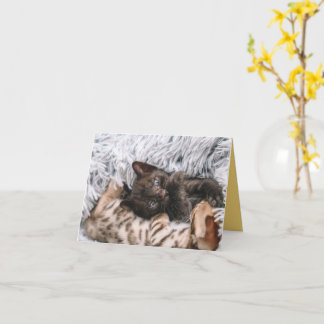 Kitten Liebe Karte