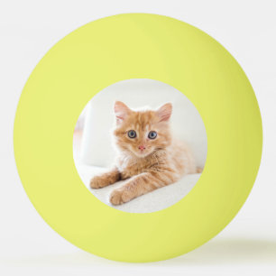 Kitten Liebe Tischtennisball