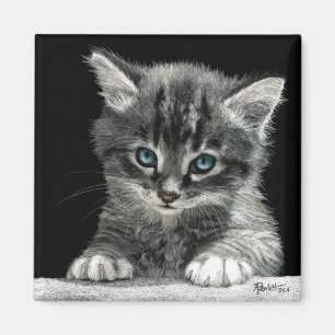 Kitten Magnet - "Bright Future"