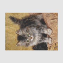 Kitten Malerei Henriette Ronner-Knip (1821-1909)