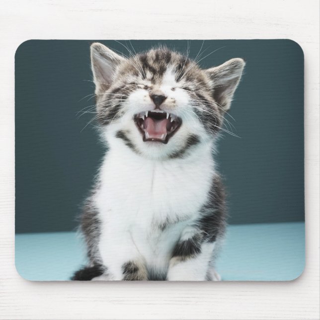 Kitten Mäsion Mousepad (Vorne)