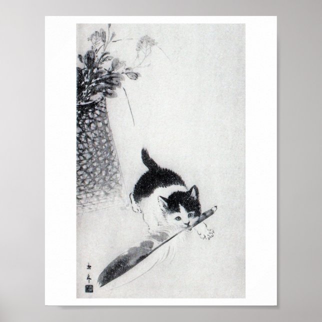Kitten mit Feather, Imao Keinen Poster (Vorne)